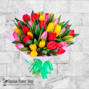 Moldavia Flores de primavera #1