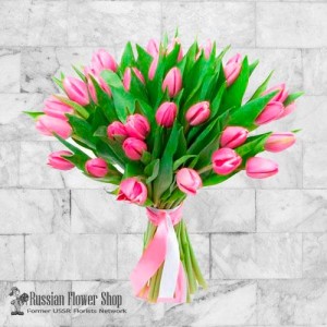 Moldavia Flores de primavera #2