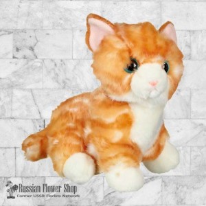 Moldova soft toy "Cat"